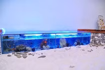 Chủ quán cà phê Sài Gòn đưa cả bãi biển về trong phố