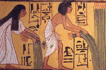 Điều thú vị về cuộc sống của người Ai Cập cổ đại