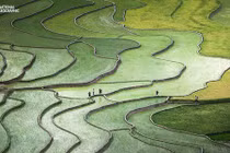 Tuyệt đẹp thung lũng Tú Lệ trong cuộc thi ảnh National Geographic 