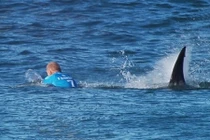 Top sự thật hiếm có khó tin khiến nhân loại kinh ngạc