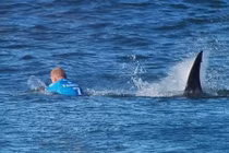 Top sự thật hiếm có khó tin khiến nhân loại kinh ngạc