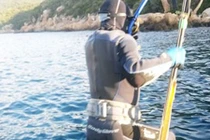 Nửa đêm săn cá dưới đáy biển