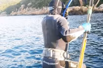 Nửa đêm săn cá dưới đáy biển