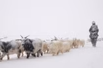 Bí mật khó tin ở những vùng đất đặc biệt nhất thế giới