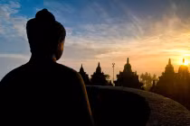 Phục vụ vô ngã