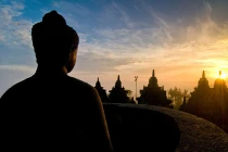 Phục vụ vô ngã