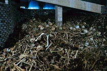 Ám ảnh chiến trường Verdun 50 năm sau chiến tranh