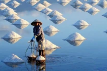 Tuyệt đẹp mùa muối Việt trên National Geographic