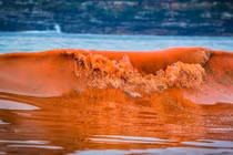 Giải mã hiện tượng thủy triều đỏ khiến cá chết hàng loạt