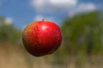 Khiếp sợ những hiện tượng bí hiểm xảy ra ở châu Âu 