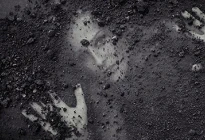 Trải nghiệm kinh hoàng của những người vô tình bị chôn sống