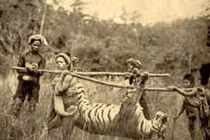 Ảnh độc: Cảnh săn bắn ở Việt Nam thời Pháp thuộc