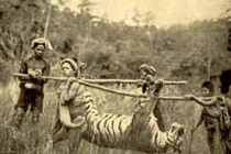 Ảnh độc: Cảnh săn bắn ở Việt Nam thời Pháp thuộc
