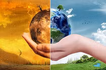 Sự thật kinh hoàng cái chết đột ngột của 50 triệu người TK 19