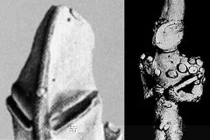 Truy vết hiện vật bị nghi của người ngoài hành tinh