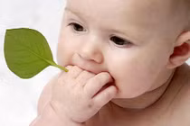 Ngày sinh tiên tri gì về vận mệnh trọn đời? 