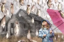 Khó tin những cơn mưa cá nổi tiếng lịch sử