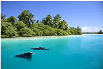 Kinh hoàng hòn đảo bị nguyền rủa khét tiếng nước Mỹ 