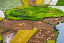 Ruộng lúa Việt Nam đẹp mê hồn trên báo Anh