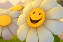 Bói vận mệnh theo ngày sinh (16/6)