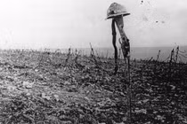 Thăm lại chiến trường diễn ra cuộc chiến dài nhất lịch sử