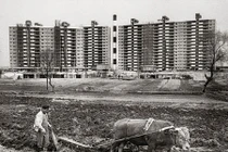 Ảnh hiếm: Hai miền Triều Tiên sau Chiến tranh thế giới 2