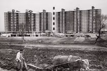 Ảnh hiếm: Hai miền Triều Tiên sau Chiến tranh thế giới 2