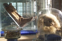 Giải mã xác ướp “người muối” còn nguyên vẹn đến ngỡ ngàng 