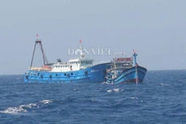 Đã tìm thấy xác tàu cá bị tàu lạ đâm chìm tại Hoàng Sa 