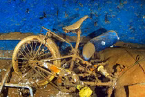 Cận cảnh những hiện vật trong xác tàu đắm 24 năm trước