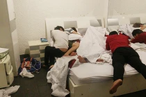 Tội ác kinh hoàng của ngáo đá "đói hàng"