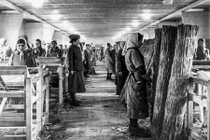 Sự thật kinh hoàng về nơi hành hạ phụ nữ của Hitler 