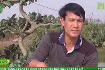 Video: Chú chó đặc biệt có khả năng bắt chuột giỏi hơn mèo 