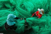 10 ảnh đẹp VN được đánh giá cao tại cuộc thi ảnh 2015