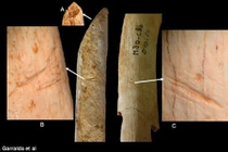 Bằng chứng mới nghi người Neanderthal ăn thịt đồng loại