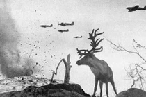 10 hình ảnh đắt giá khó quên nhất lịch sử nhân loại 