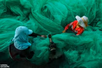 Ảnh VN lọt top ấn tượng cuộc thi ảnh National Geographic 2015
