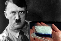Top sự thật gây sốc về trùm phát xít Hitler