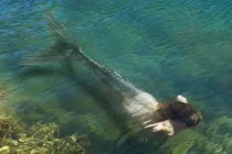 Huyền bí sứ giả của thần chết 