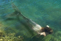 Huyền bí sứ giả của thần chết 