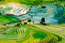 Ruộng bậc thang Sa Pa lọt top địa danh đẹp nhất TG