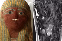 Sự thật xác ướp bào thai trong quan tài cổ Ai Cập