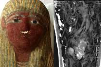 Sự thật xác ướp bào thai trong quan tài cổ Ai Cập