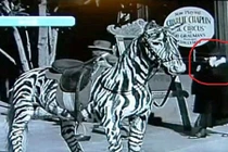 10 bức ảnh bí ẩn khó lý giải nhất thế giới