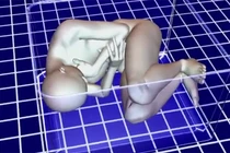 Phá án tử thi trong bãi rác nhờ mã vạch vali