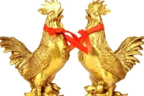 Năm Đinh Dậu 2017: Luận đoán tính cách người tuổi Dậu