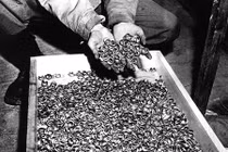 Tìm thấy đoàn tàu chở vàng của phát xít Đức ở Ba Lan