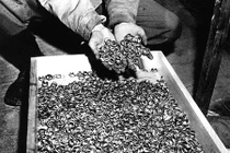 Tìm thấy đoàn tàu chở vàng của phát xít Đức ở Ba Lan