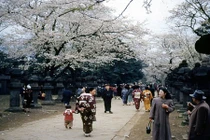 Ảnh tuyệt đẹp đất nước Nhật Bản sau Chiến tranh thế giới 2