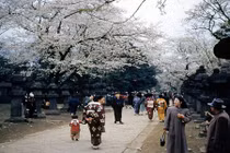 Ảnh tuyệt đẹp đất nước Nhật Bản sau Chiến tranh thế giới 2